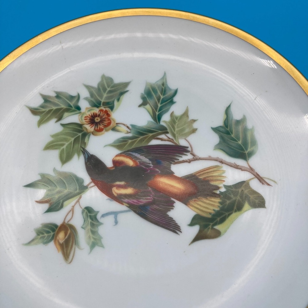 RARE Pre-War Hutschenreuther Selb Audubon Bird Plates - Set of 6 - Circa 1930s - Picture 7 of 9